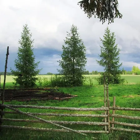 Garden At Ruutin Kartano