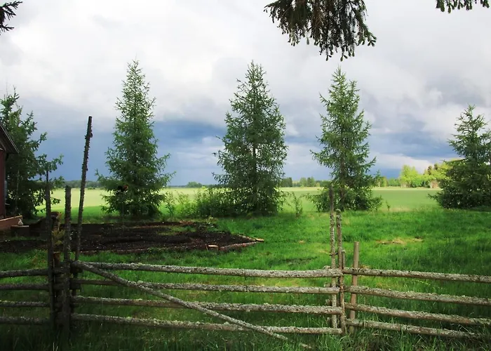 Garden At Ruutin Kartano